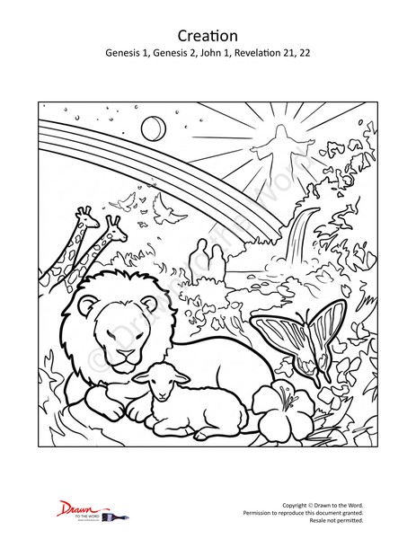 Creation Story