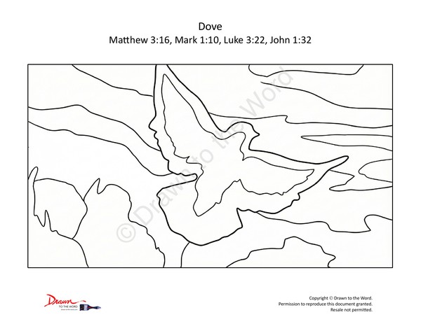 Dove
