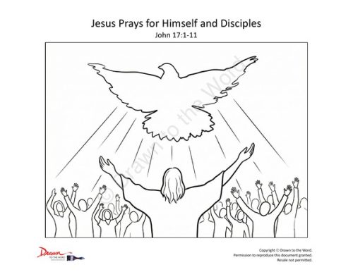 Coloring Pages