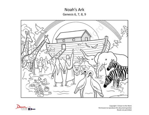CP-Noahs-Ark-2.jpg