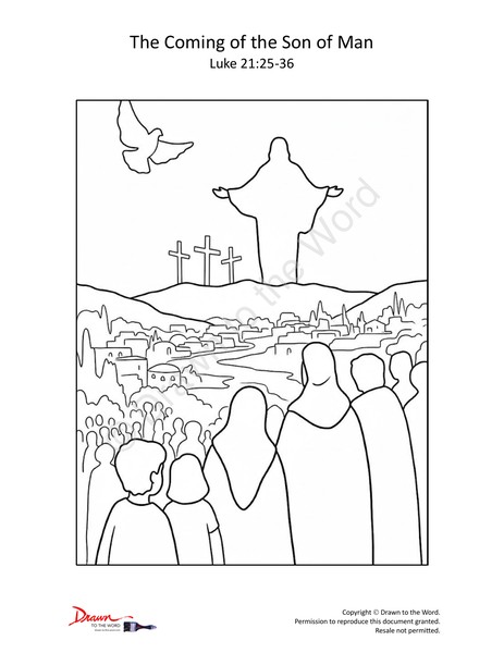 The Coming of the Son of Man