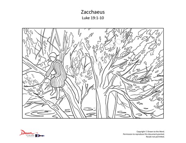Zacchaeus